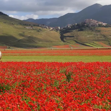 Forconi Villa Lisciano Niccone